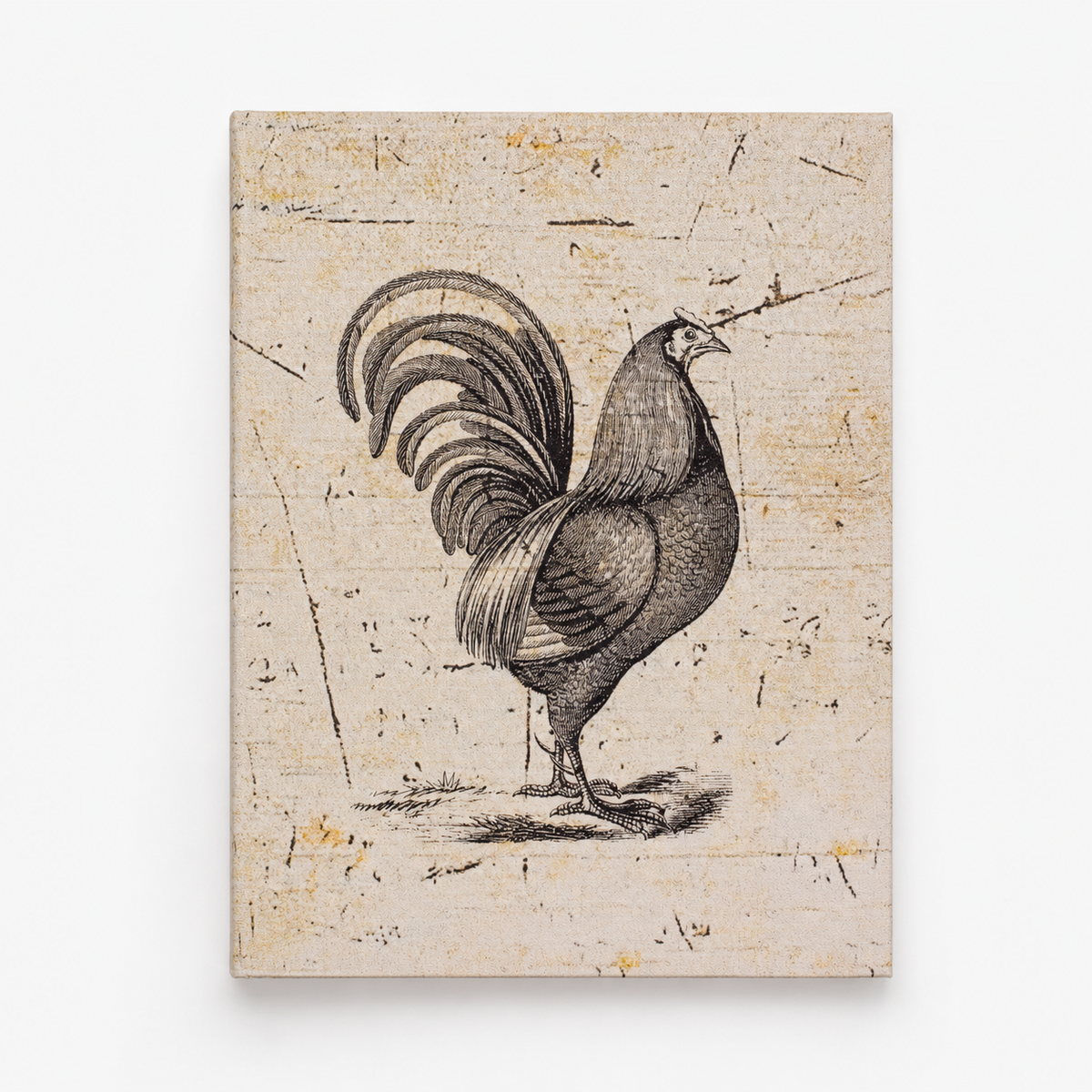 Rooster Pocket Diary Set Of 2