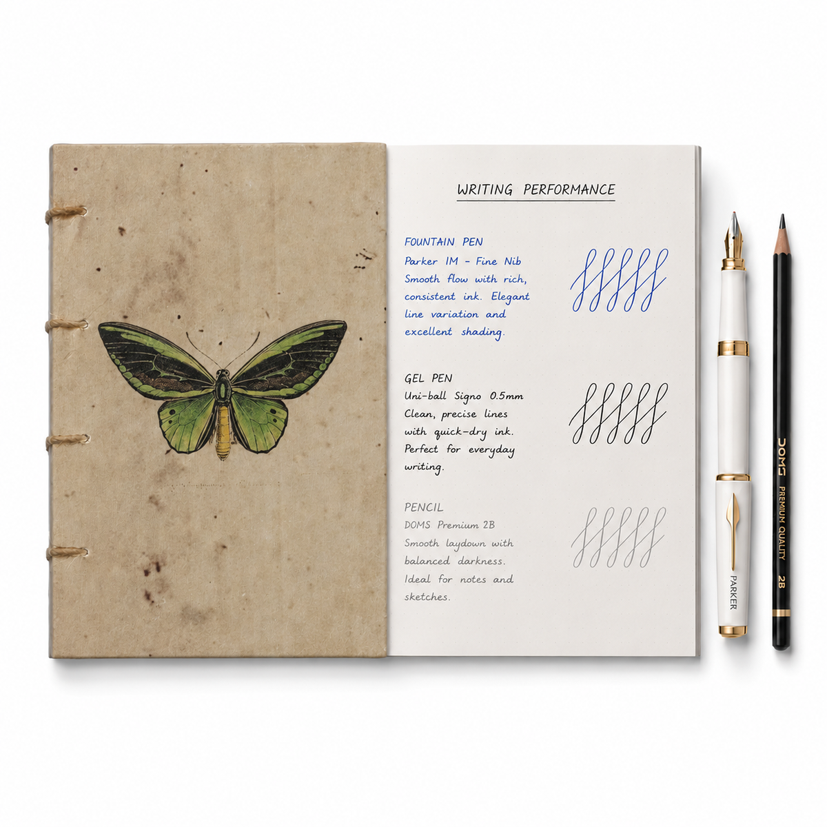 Vintage Butterfly Artwork