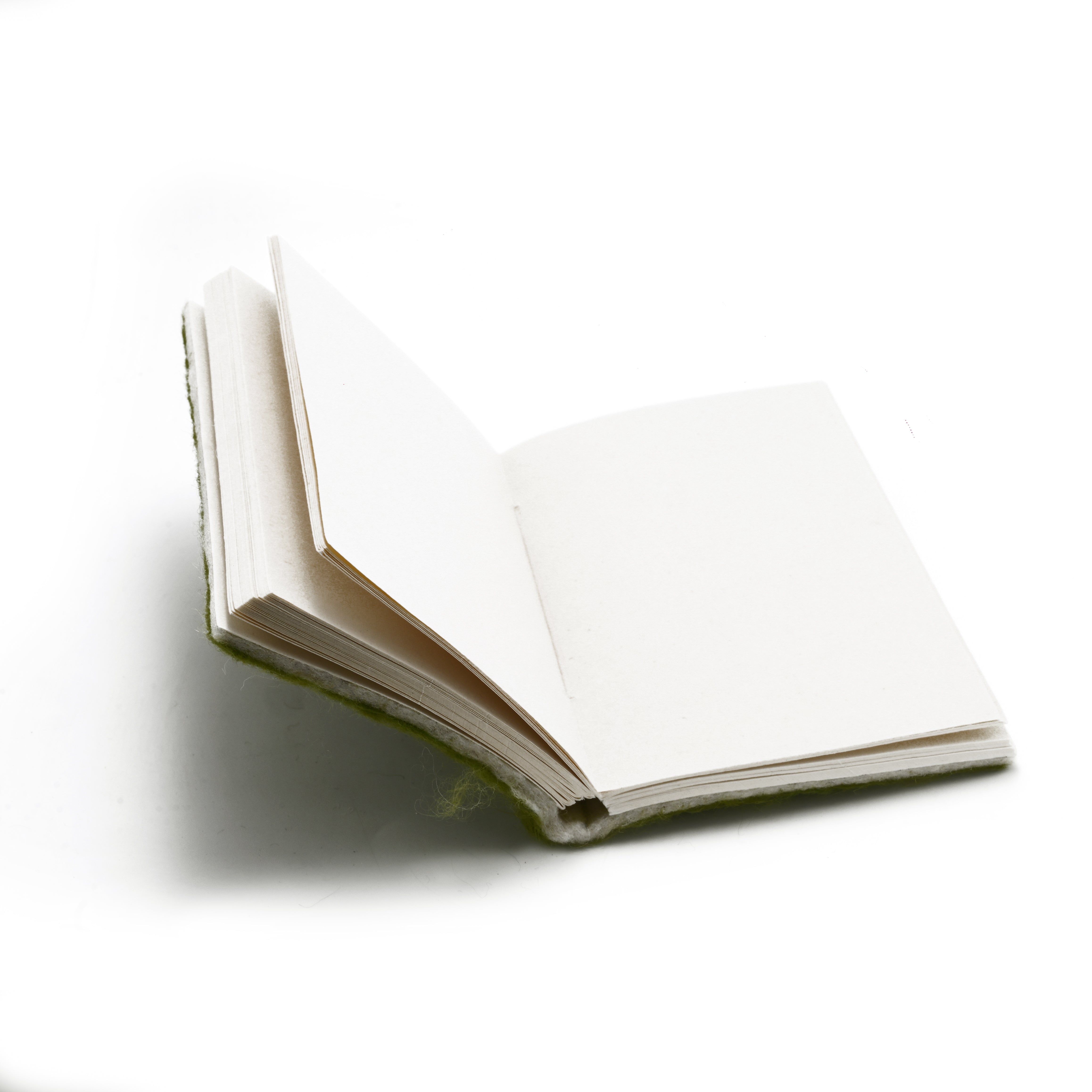 Felt Pocket Diary Green