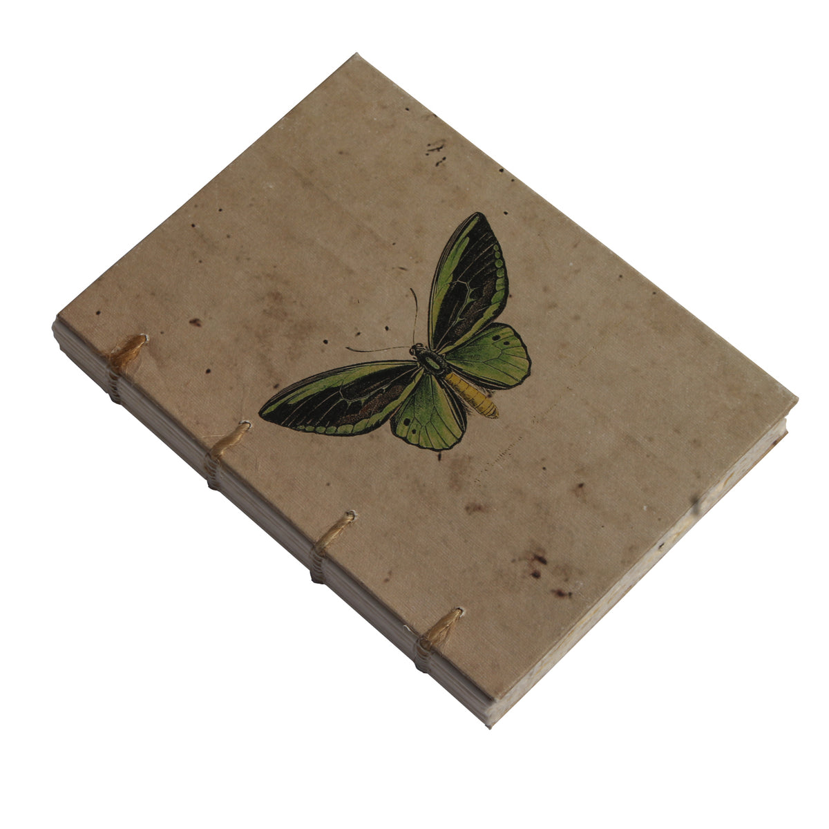 Vintage Butterfly Artwork