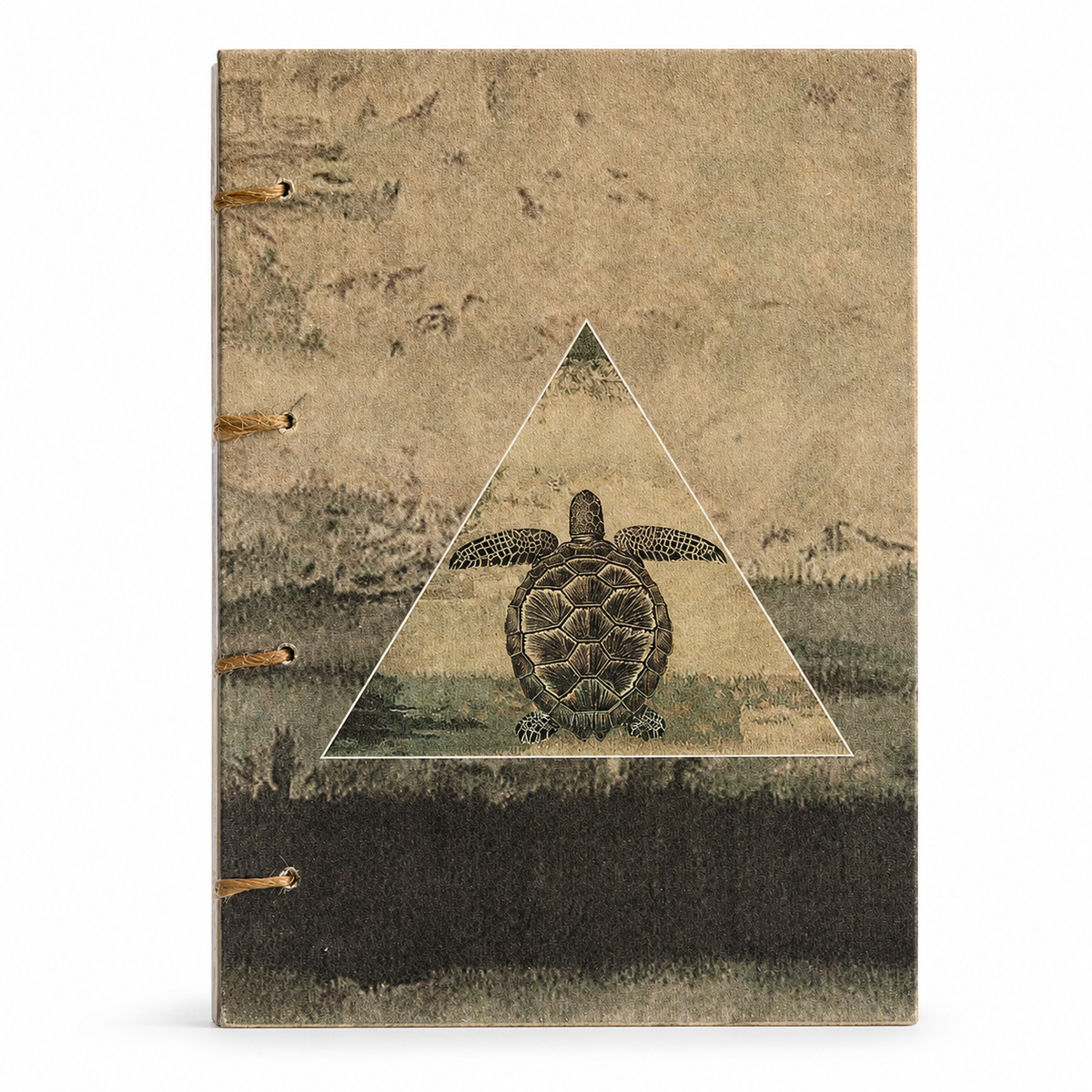 Turtle Illustration