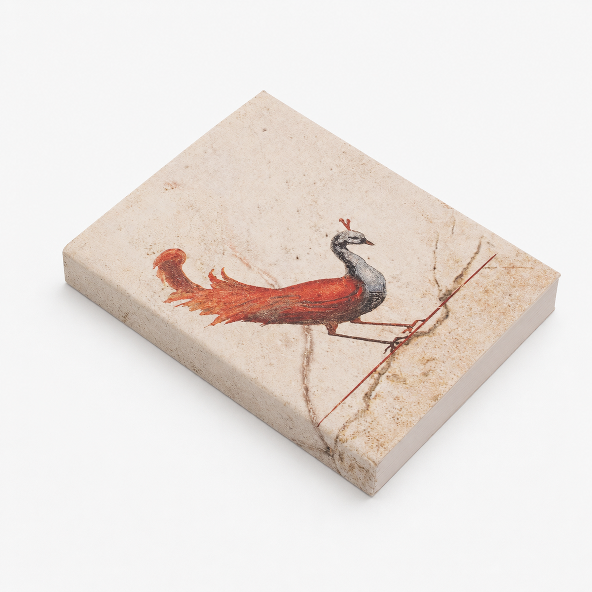 Peacock Pocket Diary Set Of 2