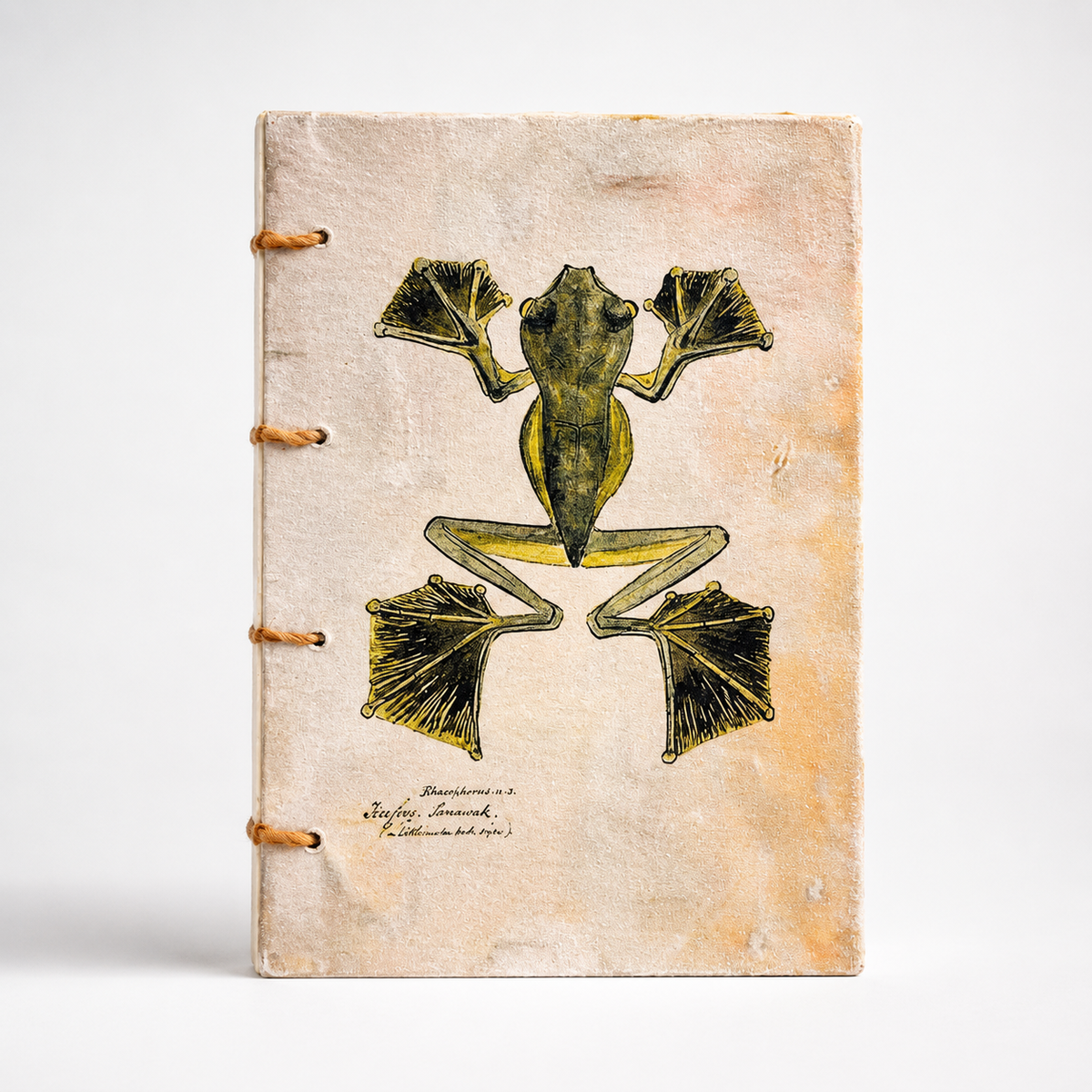 Botanical Frog