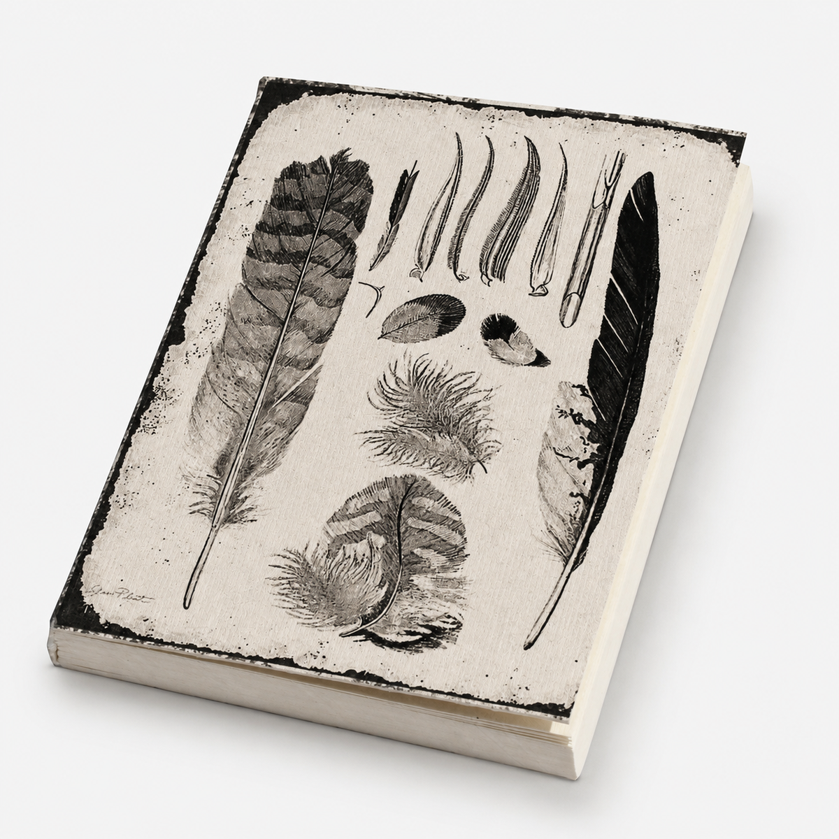 Feathers Illustration Pocket Diary Set Of 2