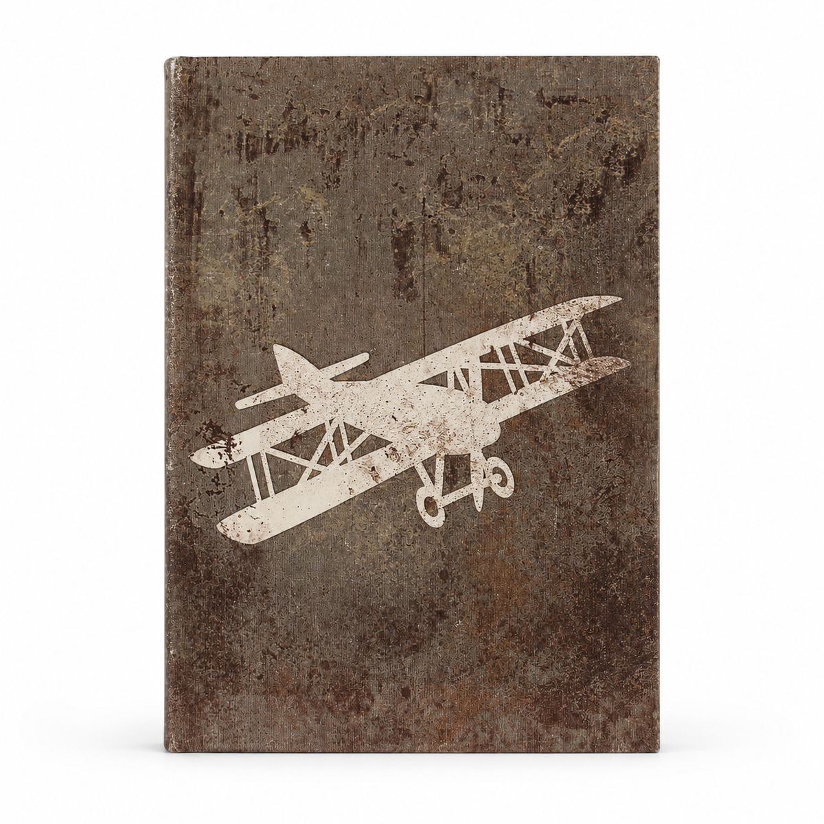 Vintage Glider Plane Artwork