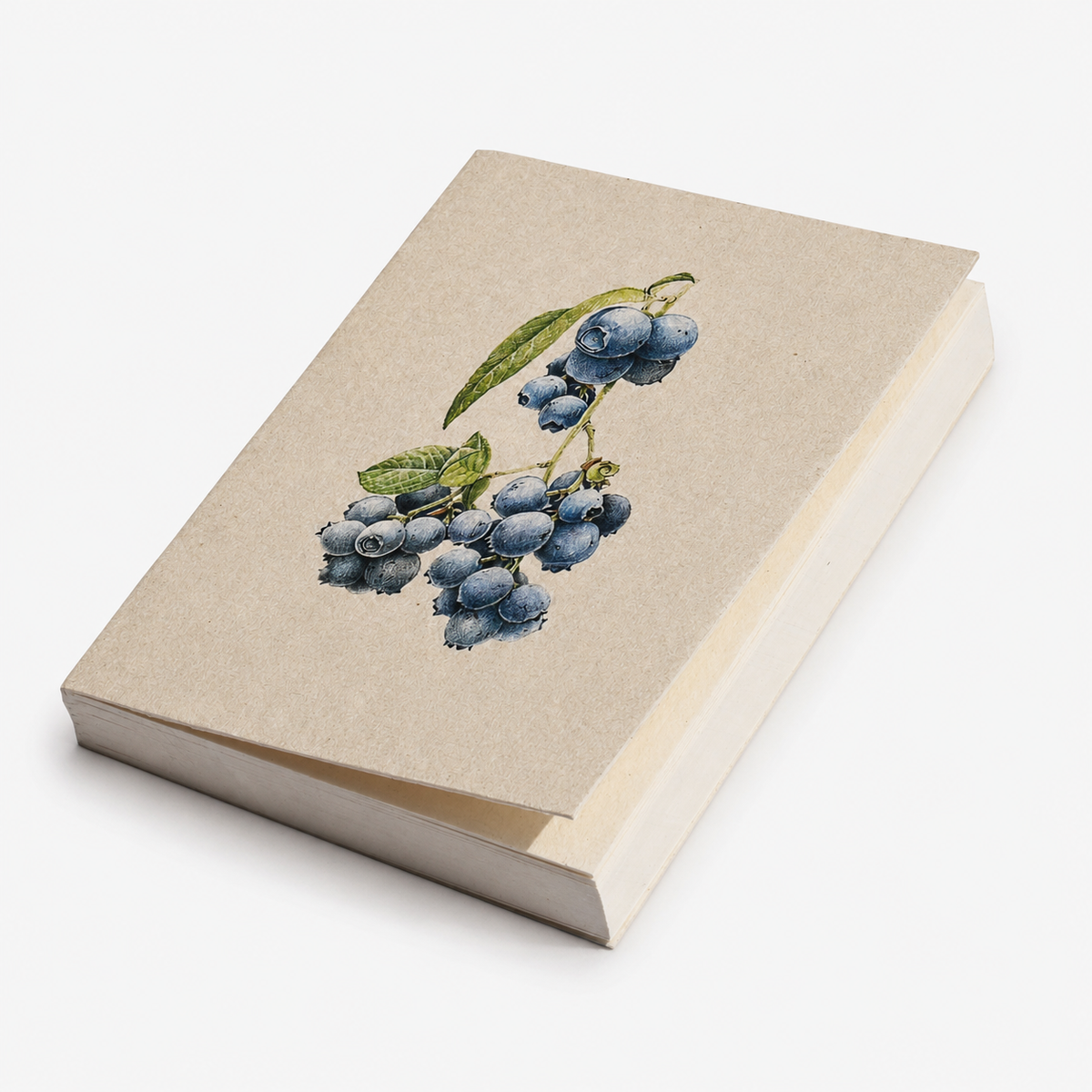 Blueberry Botanical Illustration Pocket Diary Set Of 2