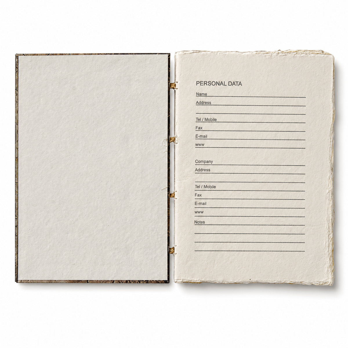 Den Vegvisir Art/Nordic Sign Journal