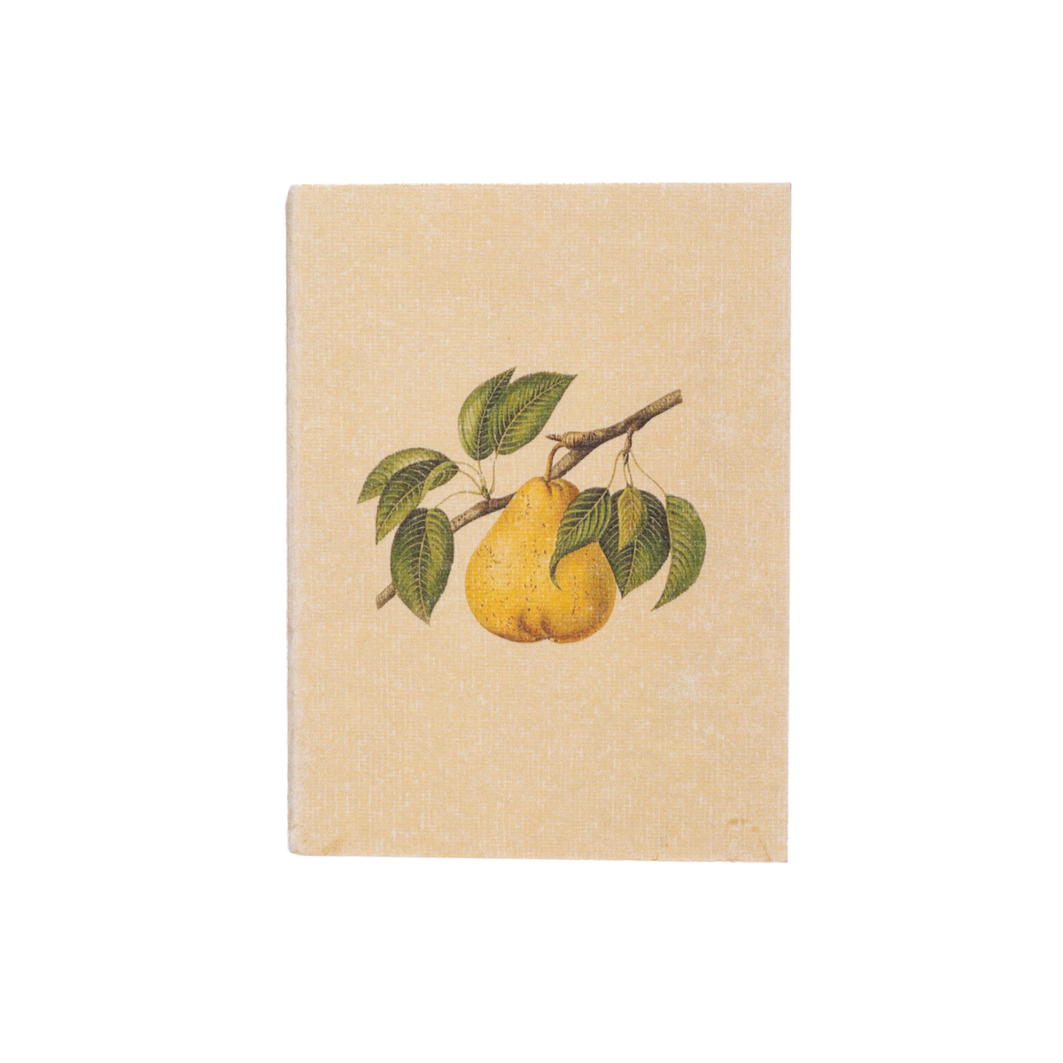 Fruit Pocket Diary Set Of 2