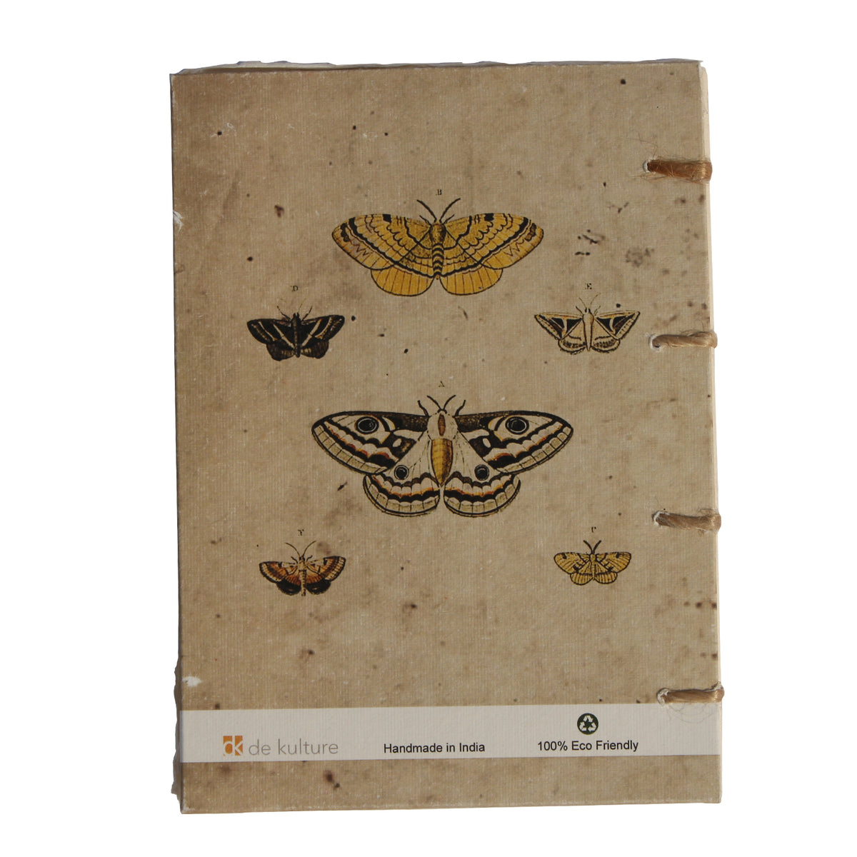 Vintage Butterfly Artwork