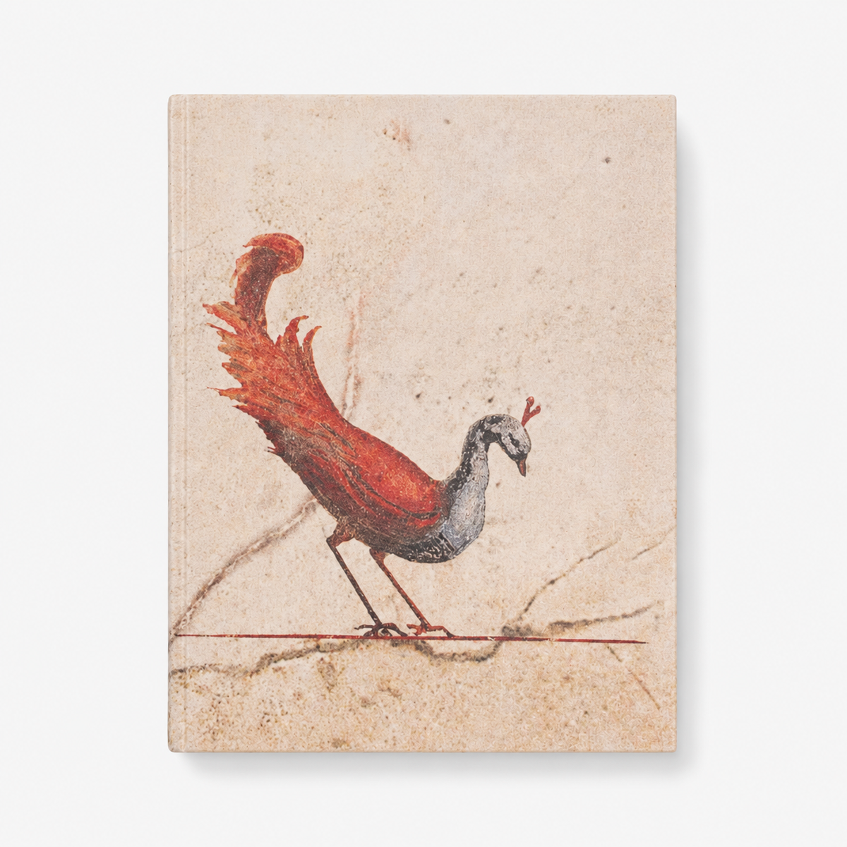 Peacock Pocket Diary Set Of 2