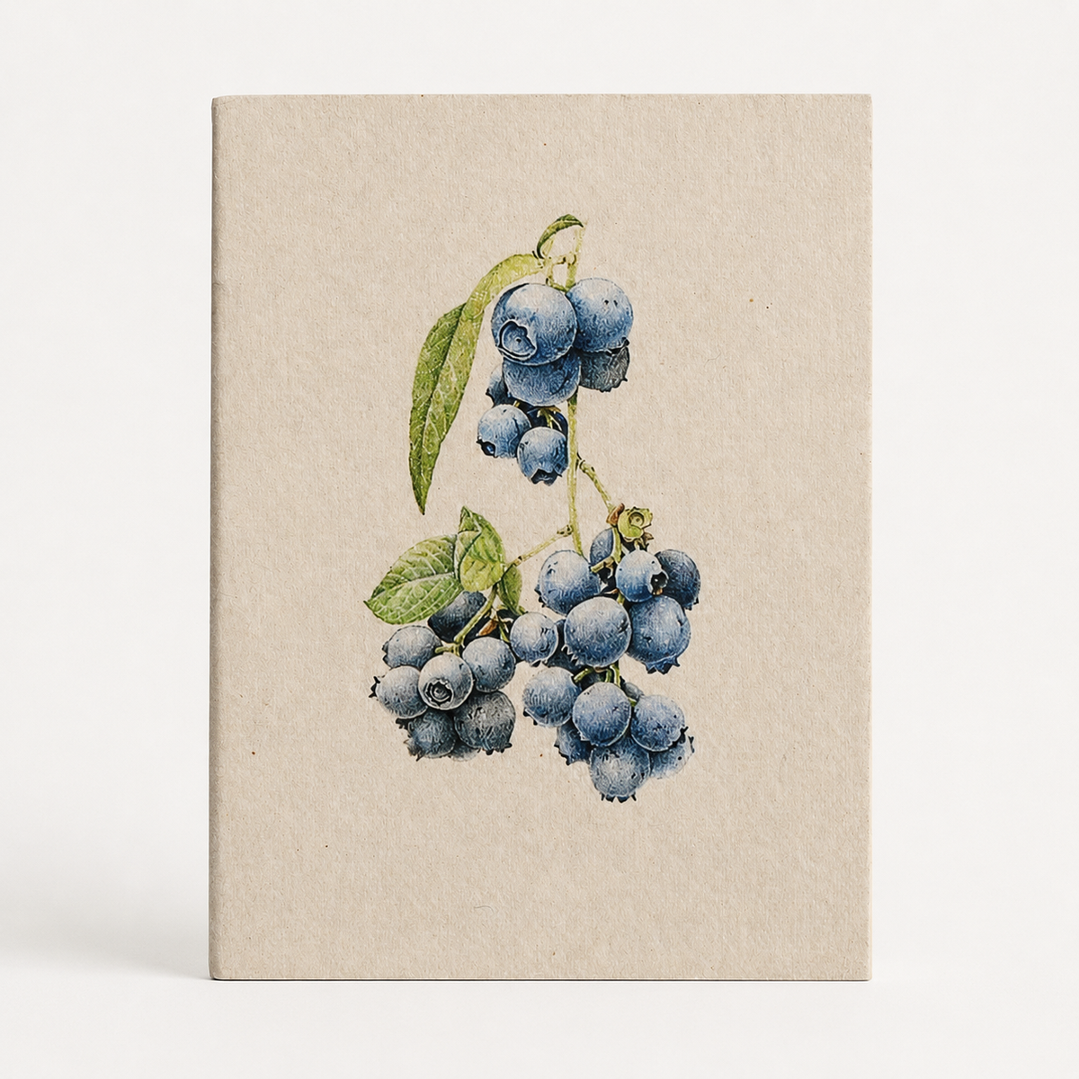 Blueberry Botanical Illustration Pocket Diary Set Of 2